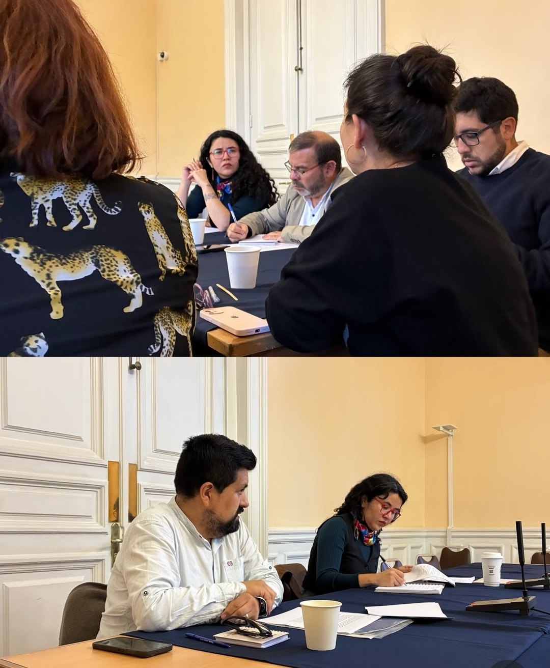 Integrantes de AGPECH en una sesión de trabajo gremial